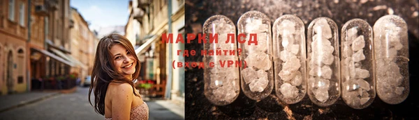 хмурый Аркадак