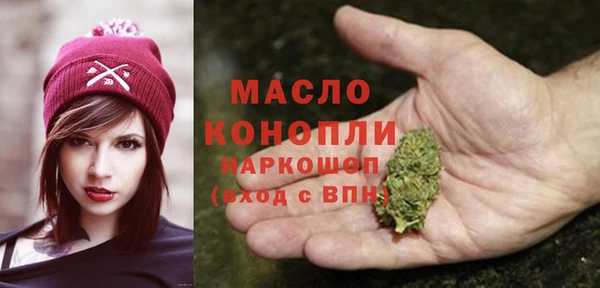 хмурый Аркадак
