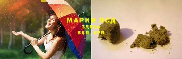 хмурый Аркадак