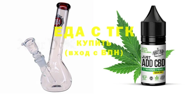 хмурый Аркадак
