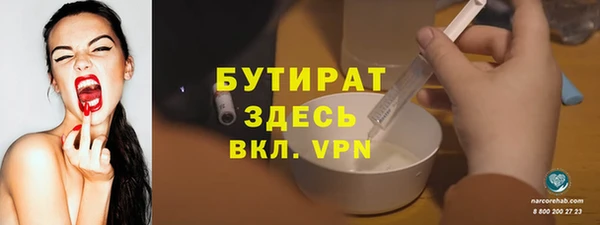 хмурый Аркадак