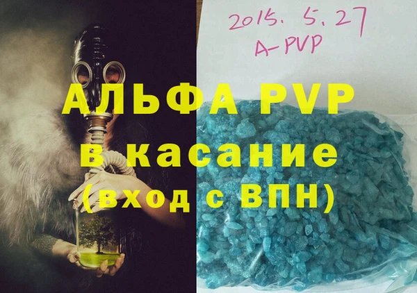 хмурый Аркадак
