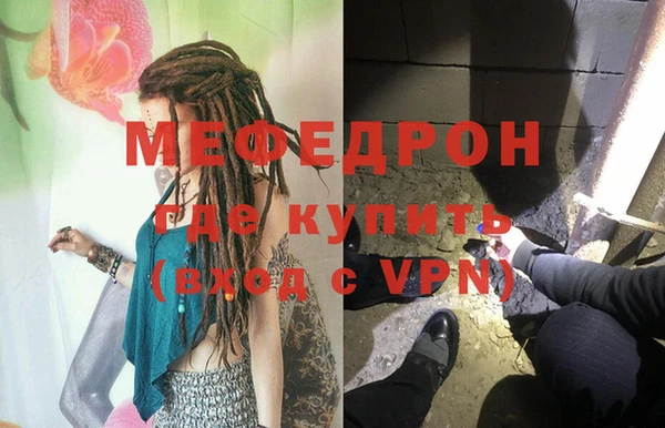 хмурый Аркадак