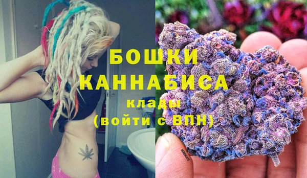 хмурый Аркадак
