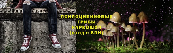 дживик Армянск