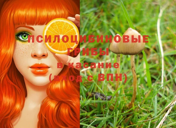дживик Армянск