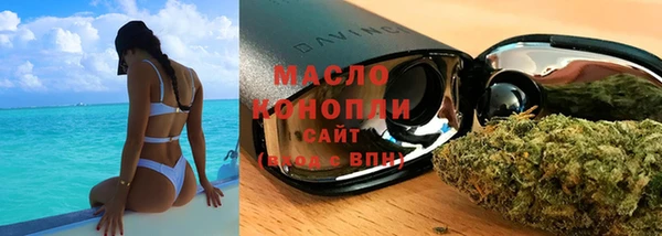 хмурый Аркадак