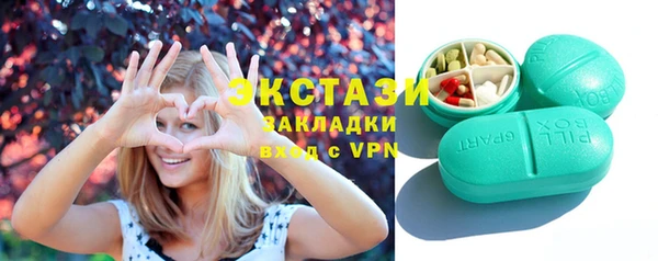 хмурый Аркадак